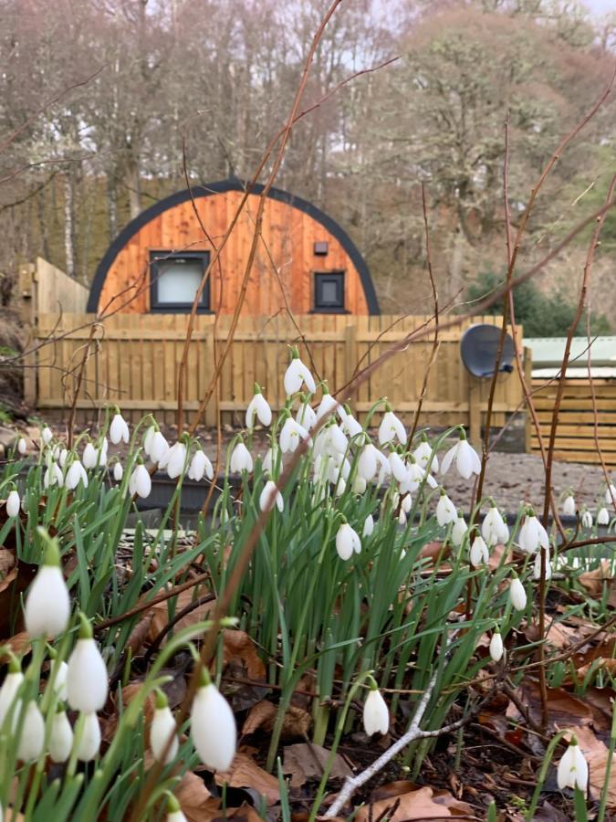 Loch Ness Woodland Pods Hotel Drumnadrochit Exterior foto